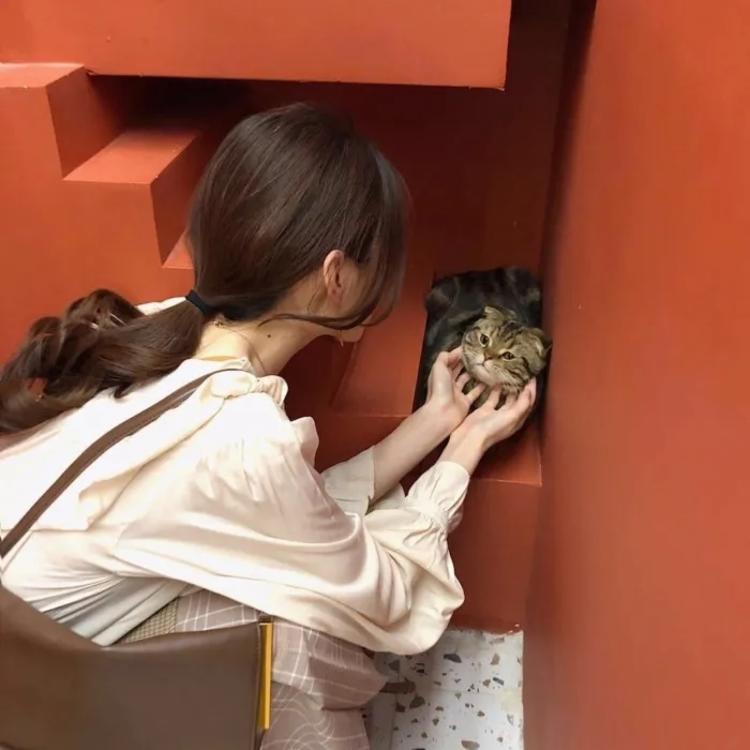 志志雄真实（身份：维新派刽子手、剑心老冤家） - 会员专享内容在线观看 - 小程序直播